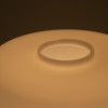 Lamp Napako 1715/0519